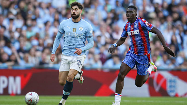 Crystal Palace v Manchester City - Emirates FA Cup Final
