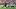 Nov 9, 2025; Houston, Texas, USA; Houston Texans wide receiver Nico Collins (12) runs after the catch against the Jacksonvill Nov 9, 2025; Houston, Texas, USA; Houston Texans wide receiver Nico Collins (12) runs after the catch against the Jacksonvill