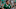 Vitor Roque, atacante do Palmeiras em 2025 Vitor Roque, atacante do Palmeiras em 2025