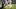 New England Patriots running back Treveyon Henderson New England Patriots running back Treveyon Henderson