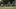 Southern Miss Football Southern Miss Football