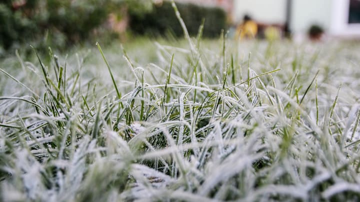 If you see frost, it's a sign to back off.