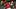Atlanta Braves right fielder Ronald Acuna Jr. Atlanta Braves right fielder Ronald Acuna Jr.