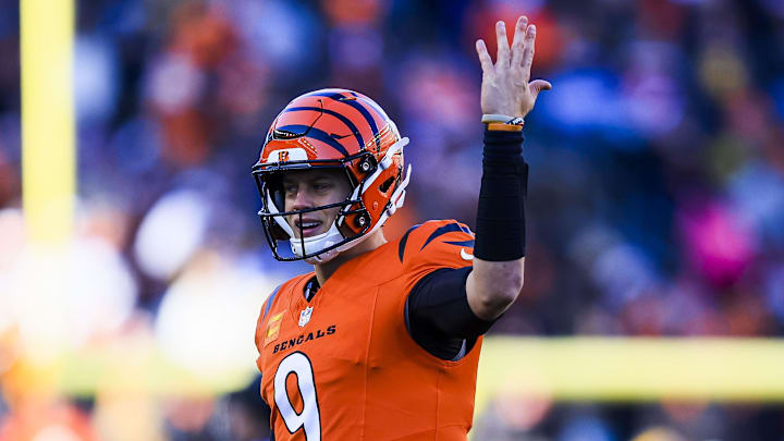 Dec 1, 2024; Cincinnati, Ohio, USA; Cincinnati Bengals quarterback Joe Burrow (9) reacts after a penalty called in the first half against the Pittsburgh Steelers at Paycor Stadium. Mandatory Credit: Katie Stratman-Imagn Images