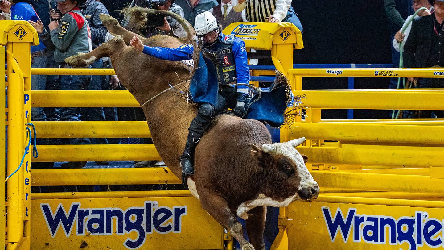 Stetson Wright’s $19,500 Week and Every Other Jaw-Dropping Move in the ...