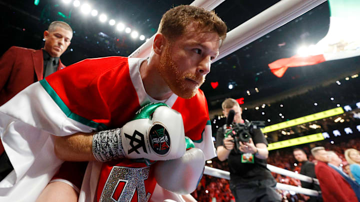 "Canelo" Álvarez quiere la revancha ante Dmitry Bivol