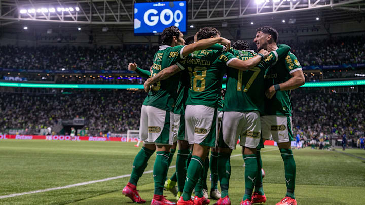 Verdão volta a campo no domingo Verdão volta a campo no domingo