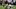 Jamree Kromah sacking Dillon Gabriel Jamree Kromah sacking Dillon Gabriel
