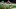 NY Jets NY Jets