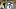 Arizona wide receiver Gio Richardson (5) Arizona wide receiver Gio Richardson (5)