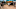 TWD_611_GP_0918_0416-Edit-RT TWD_611_GP_0918_0416-Edit-RT