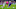 Orlando City vs Chicago FIre Orlando City vs Chicago FIre