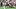 New England Patriots linebacker Gabe Jacas (50) New England Patriots linebacker Gabe Jacas (50)