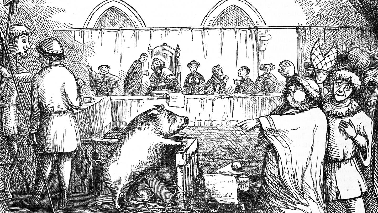 The Medieval Court Cases That Put Animals on Trial