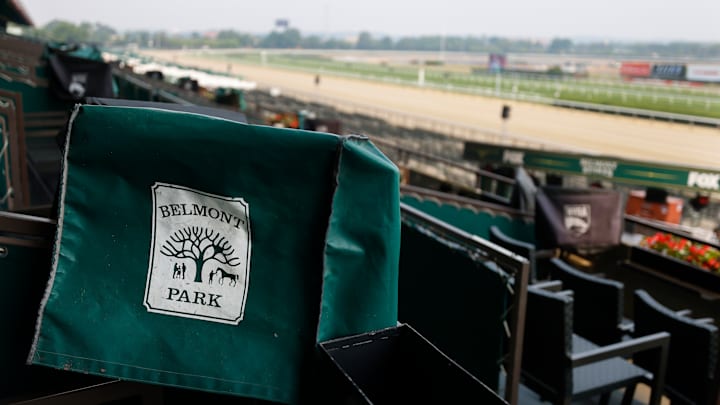 155th Belmont Stakes - Previews 155th Belmont Stakes - Previews
