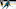Logan Couture formally announced he would not return to the NHL this past season. Logan Couture formally announced he would not return to the NHL this past season.