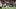 COLLEGE FOOTBALL: SEP 26 Colorado State at UTSA