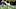 NY Jets, Kwon Alexander NY Jets, Kwon Alexander