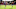Lewis Dunk, James Bree Lewis Dunk, James Bree