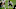 Chicago Bears, Charles Leno Jr. Chicago Bears, Charles Leno Jr.