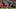 Saul Niguez, Juan Bernat, Thiago Alcantara, Xabi Alonso