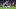 Lucas Ocampos Lucas Ocampos