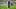 Lamine Yamal Lamine Yamal