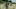 DARYLDIXON_205_EG_0615_0085-RT DARYLDIXON_205_EG_0615_0085-RT