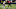 Chicago Bears, Jack Sanborn Chicago Bears, Jack Sanborn