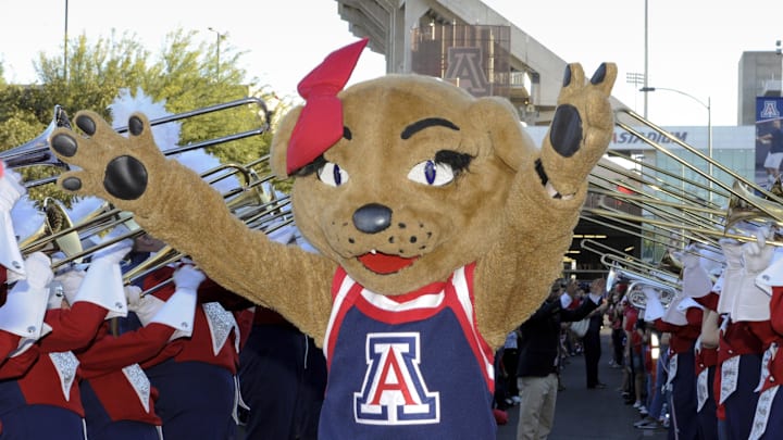Nov 8, 2014; Tucson, AZ, USA; Arizona Wildcats mascot Wilma dances before the Wildcat Walk before the Colorado Buffaloes play the Arizona Wildcats at Arizona Stadium. Mandatory Credit: Casey Sapio-Imagn Images