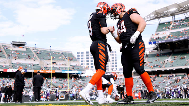 Baltimore Ravens v Cincinnati Bengals
