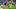 Vikings WR Justin Jefferson is set for a fantasy football boost with RB Aaron Jones declared ready to play for Week 3 Vikings WR Justin Jefferson is set for a fantasy football boost with RB Aaron Jones declared ready to play for Week 3