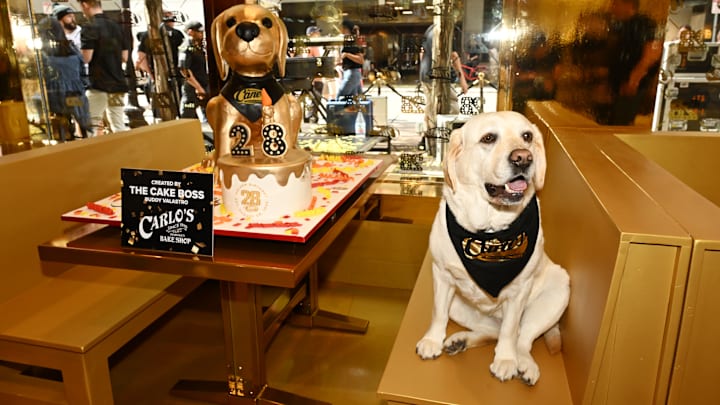BOSTON, MASSACHUSETTS - AUGUST 28: <> attends the celebration of Raising Cane's "Golden Birthday" with opening of new gold restaurant on August 28, 2024 in Boston, Massachusetts. (Photo by Dave Kotinsky/Getty Images for Raising Cane's)