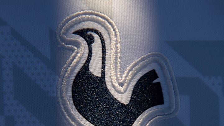 Reports from 'Bild am Sonntag' indicate that Edin Terzic has caught the eye of three Premier League giants: Tottenham, Newcastle United, and West Ham United.