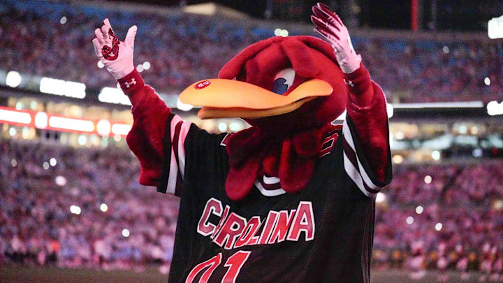 South Carolina football mascot Cocky