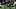 Offensive lineman Torricelli Simpkin