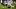 Chicago Bears tight end Colston Loveland Chicago Bears tight end Colston Loveland