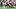 New England Patriots linebacker Gabe Jacas New England Patriots linebacker Gabe Jacas