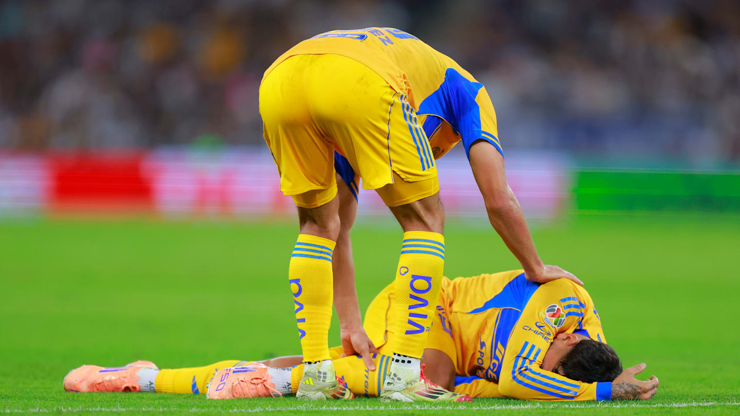 Amazing Lesionados Y Sancionados De Tigres Para Enfrentarse A León Picture Illustration