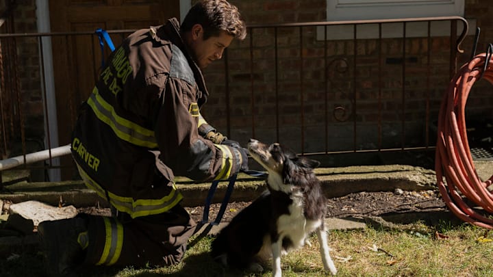 CHICAGO FIRE -- "Quicksand" Episode 13008 -- Pictured: Jake Lockett as Sam Carver