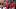 Iraq v Norway: Group I - FIFA World Cup 2026 Iraq v Norway: Group I - FIFA World Cup 2026
