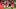 FBL-GER-BUNDESLIGA-BAYERN MUNICH-UNION BERLIN FBL-GER-BUNDESLIGA-BAYERN MUNICH-UNION BERLIN