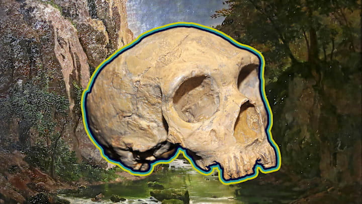A Neanderthal skull against a backdrop of the German valley where the first specimens of the human ancestor were found.