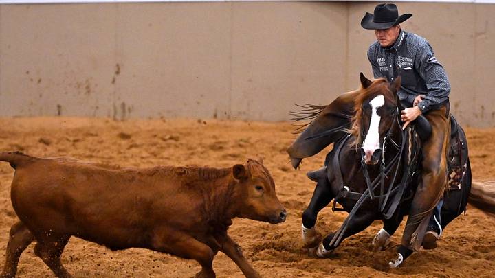Breykin Bad ridden by Beau Galyean Breykin Bad ridden by Beau Galyean