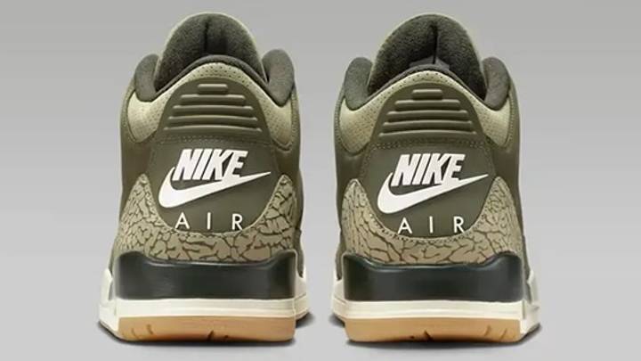 The Air Jordan 3 "Family Affair" colorway. The Air Jordan 3 "Family Affair" colorway.