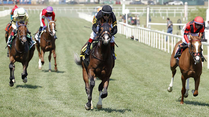Preakness Stakes Preakness Stakes