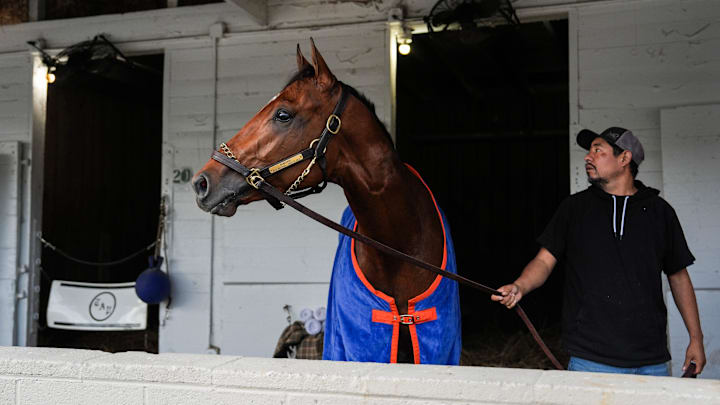 Renegade is the 4-1 favorite at the 2026 Kentucky Derby.