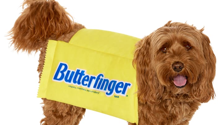 Butterfinger and Spirit Halloween Collaborate on Halloween Costumes (for People & Dogs!) Image Credit to Butterfinger and Spirit Halloween. 