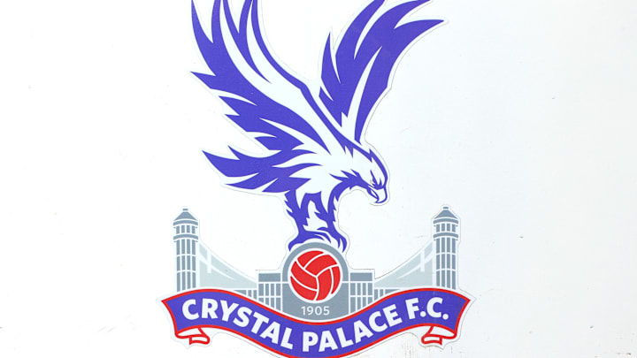 Crystal Palace v Newcastle United - Premier League