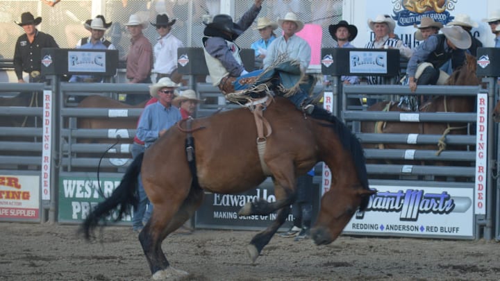 Bareback rider Seth Lee Hardwick Meat Sweats Bareback rider Seth Lee Hardwick Meat Sweats
